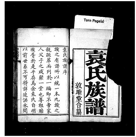 [下载][袁氏族谱]山东.袁氏家谱.pdf