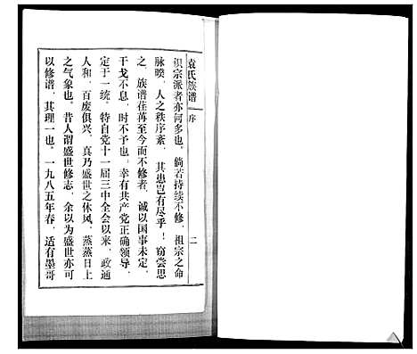 [下载][袁氏族谱_续]山东.袁氏家谱.pdf