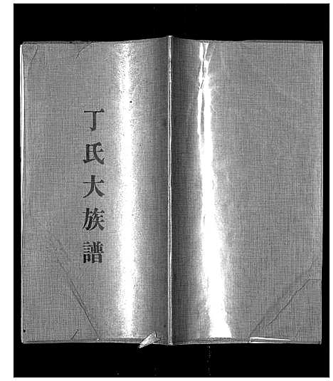 [下载][丁氏大族谱_不分卷]山东.丁氏大家谱.pdf