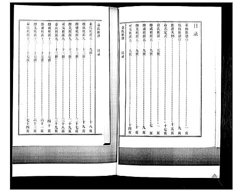 [下载][袁氏族谱_不分卷]山东.袁氏家谱.pdf