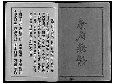 [下载][袁氏族谱_不分卷]山东.袁氏家谱.pdf