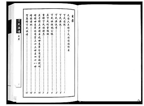 [下载][丁氏族谱]山东.丁氏家谱.pdf