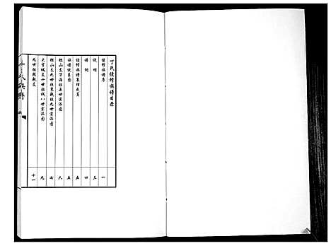 [下载][丁氏族谱_不分卷]山东.丁氏家谱.pdf