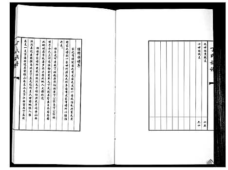 [下载][丁氏族谱_不分卷]山东.丁氏家谱.pdf