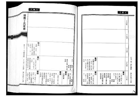 [下载][琅琊丁氏家乘_6卷]山东.琅琊丁氏家乘_二.pdf