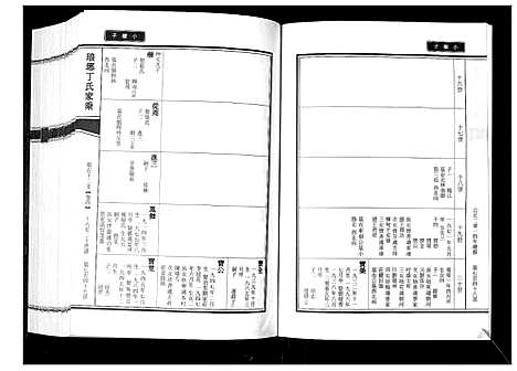 [下载][琅琊丁氏家乘_6卷]山东.琅琊丁氏家乘_二.pdf