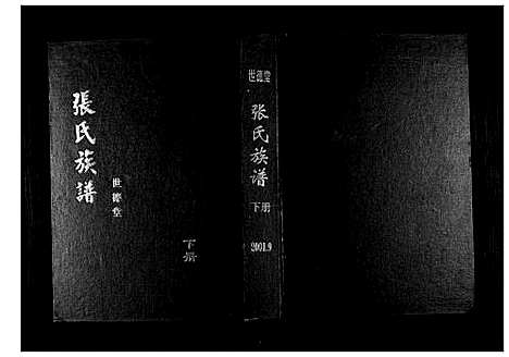 [下载][张氏族谱]山东.张氏家谱_二.pdf