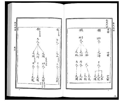 [下载][张氏族谱_10卷]山东.张氏家谱_九.pdf