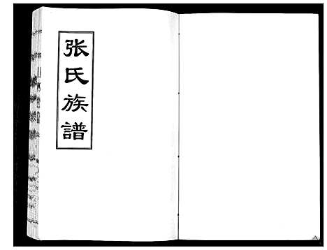 [下载][张氏族谱_2卷]山东.张氏家谱_一.pdf