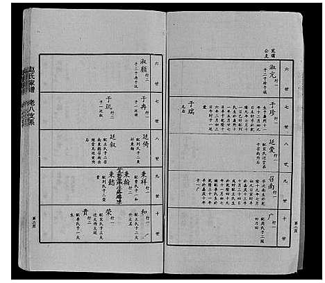 [下载][赵氏家谱_不分卷]山东.赵氏家谱_八.pdf