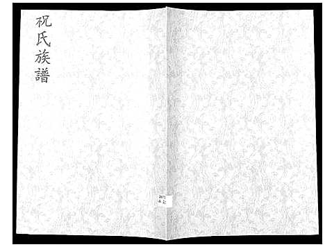 [下载][祝氏族谱_不分卷]山东.祝氏家谱.pdf