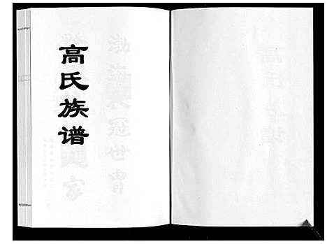 [下载][高氏族谱]山东.高氏家谱.pdf