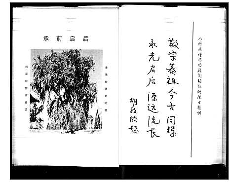 [下载][胡氏族谱_2卷]山东.胡氏家谱_二.pdf