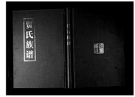 [下载][贾氏族谱]山东.贾氏家谱.pdf