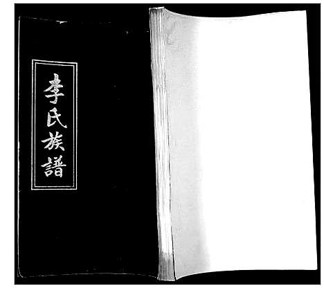 [下载][李氏族谱]山东.李氏家谱.pdf