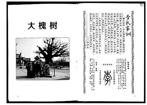 [下载][李氏族谱]山东.李氏家谱.pdf