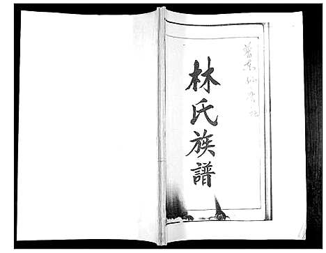 [下载][林氏族谱_不分卷]山东.林氏家谱.pdf