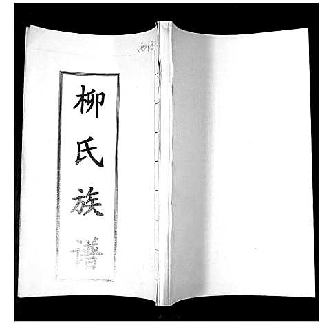 [下载][柳氏族谱_不分卷]山东.柳氏家谱.pdf