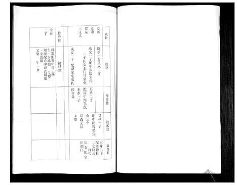 [下载][卢氏宗谱]山东.卢氏家谱.pdf