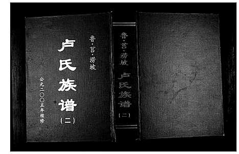 [下载][卢氏族谱_4卷]山东.卢氏家谱_二.pdf