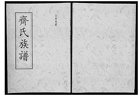 [下载][齐氏族谱_不分卷]山东.齐氏家谱_二.pdf