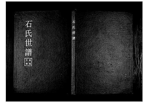 [下载][石氏宗谱]山东.石氏家谱.pdf