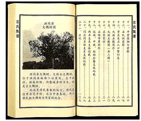 [下载][石氏族谱]山东.石氏家谱.pdf