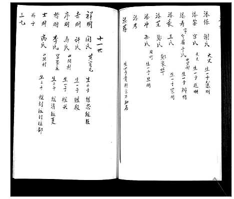 [下载][宋氏族谱_不分卷]山东.宋氏家谱.pdf