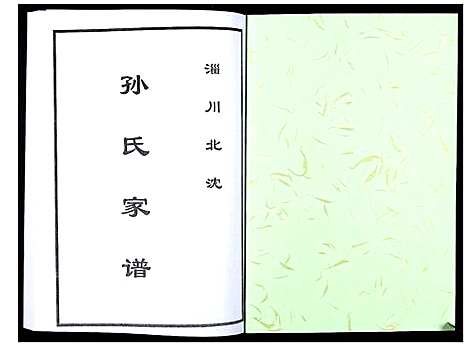 [下载][孙氏家谱_不分卷]山东.孙氏家谱.pdf