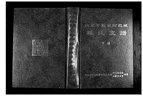 [下载][孙氏支谱_上下辑]山东.孙氏支谱_二.pdf