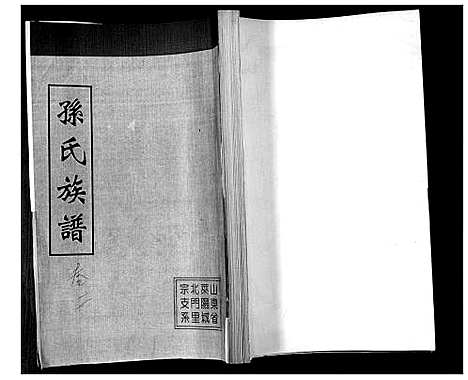 [下载][孙氏族谱_不分卷]山东.孙氏家谱_二.pdf