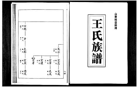 [下载][山东桓台斜沟王氏族谱_6卷]山东.山东桓台斜沟王氏家谱_一.pdf