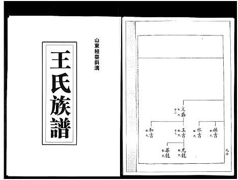 [下载][山东桓台斜沟王氏族谱_6卷]山东.山东桓台斜沟王氏家谱_二.pdf