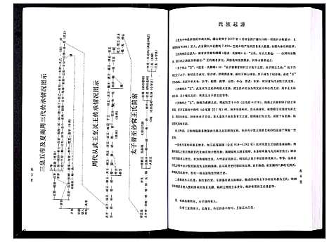 [下载][沙窝王氏宗谱_10卷]山东.沙窝王氏家谱.pdf