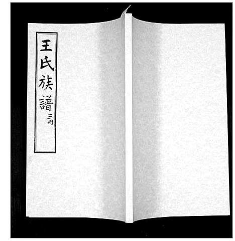 [下载][王氏族谱]山东.王氏家谱_三.pdf