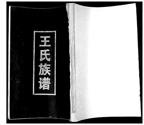 [下载][王氏族谱]山东.王氏家谱_一.pdf