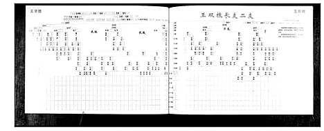 [下载][王氏族谱]山东.王氏家谱_一.pdf