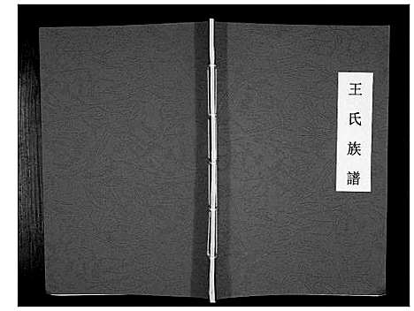 [下载][王氏族谱_不分卷]山东.王氏家谱_一.pdf