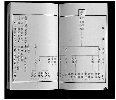 [下载][黄县琅琊王氏族谱]山东.黄县琅琊王氏家谱_二.pdf