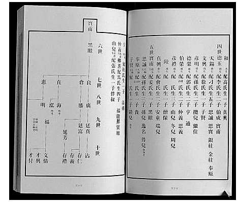 [下载][黄县琅琊王氏族谱]山东.黄县琅琊王氏家谱_二.pdf