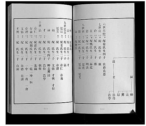 [下载][黄县琅琊王氏族谱]山东.黄县琅琊王氏家谱_二.pdf