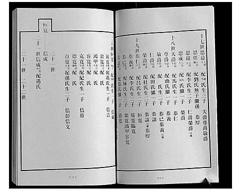 [下载][黄县琅琊王氏族谱]山东.黄县琅琊王氏家谱_三.pdf