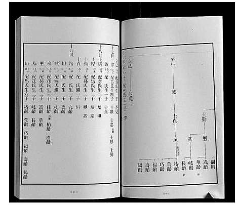 [下载][黄县琅琊王氏族谱]山东.黄县琅琊王氏家谱_五.pdf