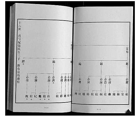 [下载][黄县琅琊王氏族谱]山东.黄县琅琊王氏家谱_七.pdf