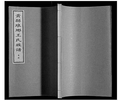 [下载][黄县琅琊王氏族谱]山东.黄县琅琊王氏家谱_八.pdf