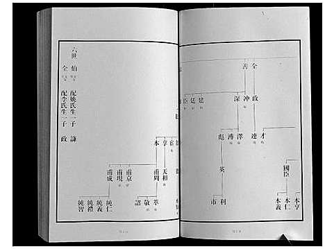 [下载][黄县琅琊王氏族谱]山东.黄县琅琊王氏家谱_九.pdf