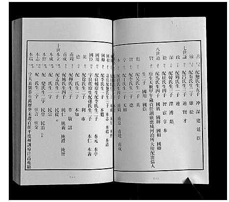 [下载][黄县琅琊王氏族谱]山东.黄县琅琊王氏家谱_九.pdf