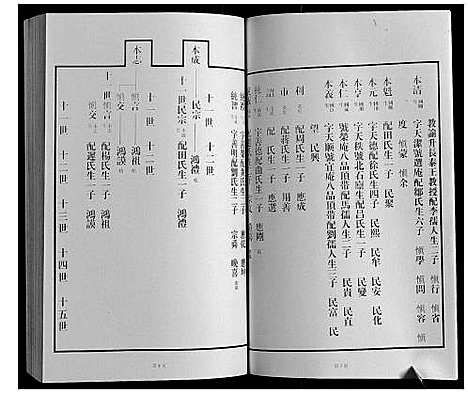 [下载][黄县琅琊王氏族谱]山东.黄县琅琊王氏家谱_九.pdf