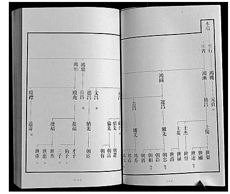 [下载][黄县琅琊王氏族谱]山东.黄县琅琊王氏家谱_九.pdf