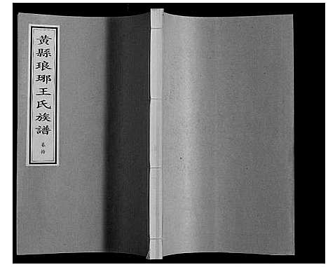 [下载][黄县琅琊王氏族谱]山东.黄县琅琊王氏家谱_十.pdf